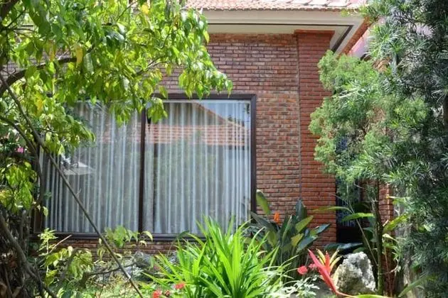 Deluxe garden