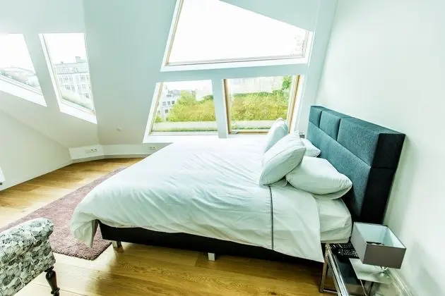 Luxury Çatı Katı Süiti (Penthouse)