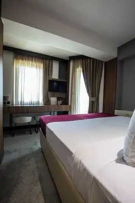 Classic Tek Büyük Yataklı Oda, 1 Büyük (Queen) Boy Yatak, Balkon, Şehir Manzaralı