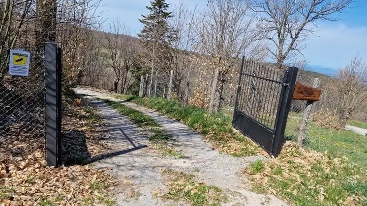 Apart Daire, 2 Yatak Odası, Şömine