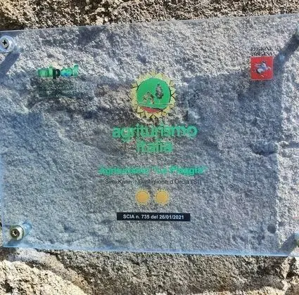 Apart Daire, 2 Yatak Odası, Şömine