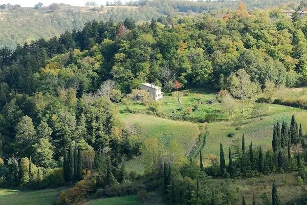 Apart Daire, 2 Yatak Odası, Şömine