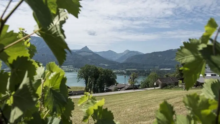 Deluxe Apart Daire, 2 Yatak Odası, Teras