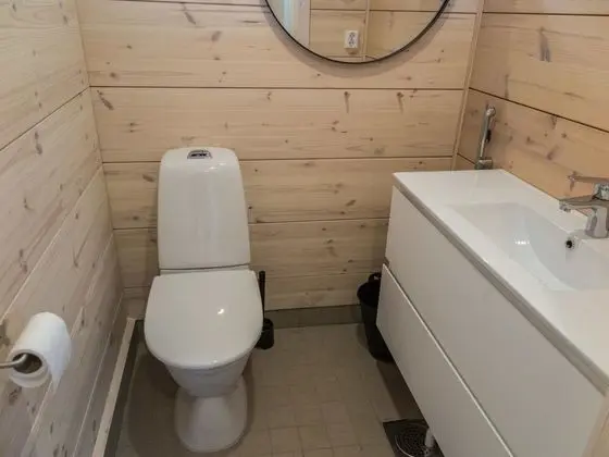 Ev