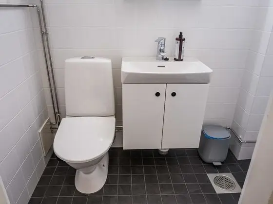 Ev