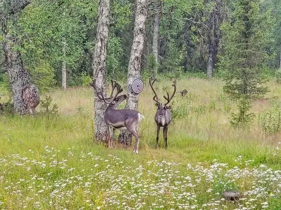 Ev