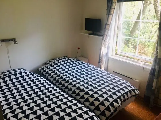 Basic Tek Büyük veya İki Ayrı Yataklı Oda, Dağ Manzaralı