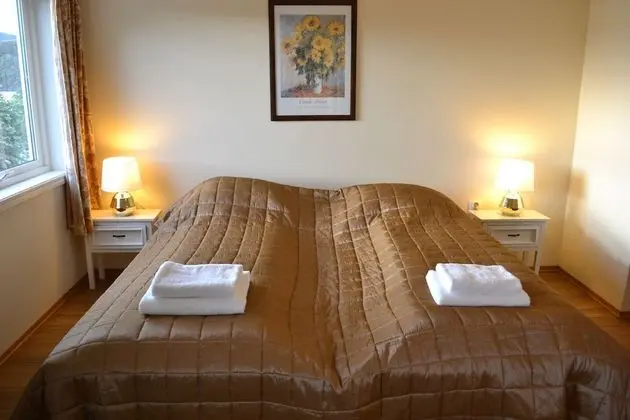 Classic Tek Büyük Yataklı Oda, 2 Tek Kişilik Yatak, Dağ Manzaralı