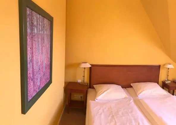 Deluxe Tek Büyük Yataklı Oda, Bahçe Manzaralı