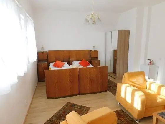 Tek Büyük Yataklı Oda (Retro, Shower)