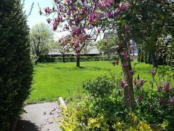 Economy Tek Kişilik Oda, 1 Yatak Odası, Ortak Banyo