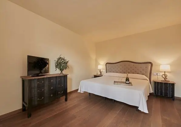 Standard Tek Büyük Yataklı Oda (Llevant & Terral)