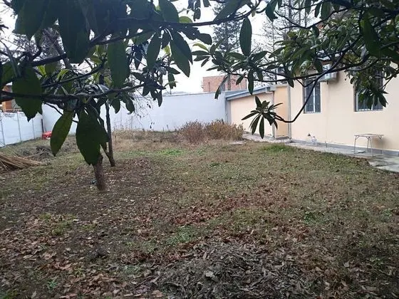 Basic Villa, 5 Yatak Odası