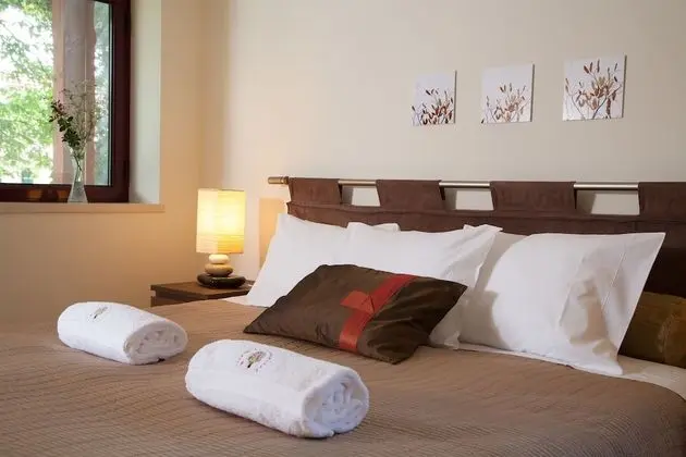 Deluxe Tek Büyük veya İki Ayrı Yataklı Oda, Teras