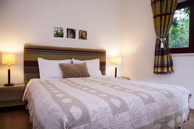 Standard Tek Büyük veya İki Ayrı Yataklı Oda, Teras