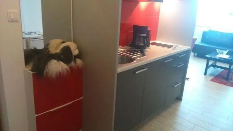 Deluxe Apart Daire, 1 Yatak Odası, Bahçe Manzaralı