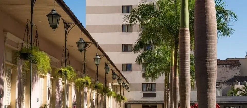 Collection Apartamento Preservado