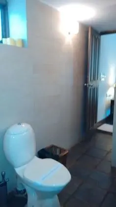 Süit