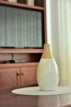 Presidential Apart Daire, 2 Yatak Odası