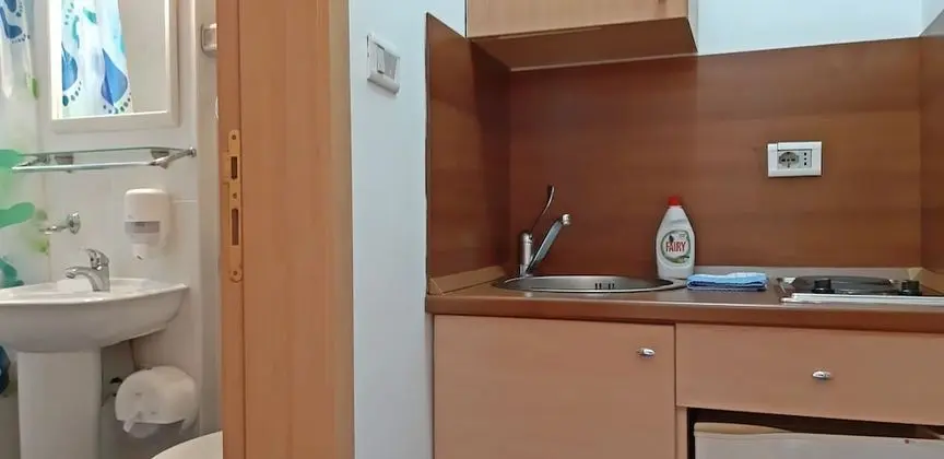 Tek Büyük Yataklı Oda, 1 Çift Kişilik Yatak