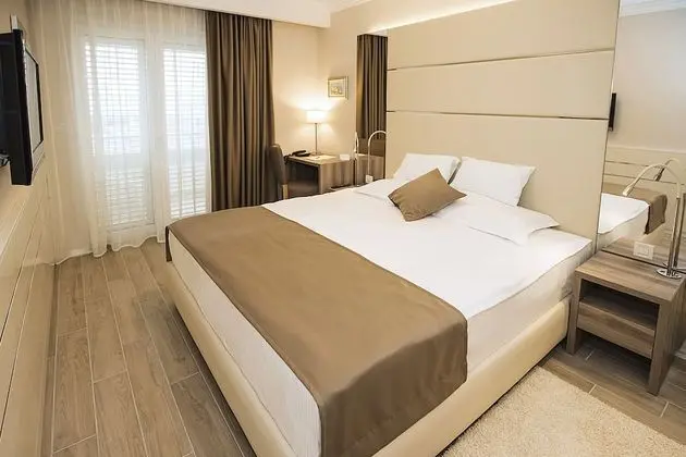 Standard Tek Büyük Yataklı Oda, Balkon, Park Manzaralı