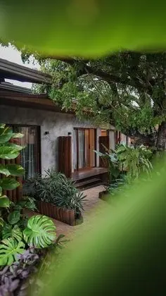 Standard Tek Büyük veya İki Ayrı Yataklı Oda, Bahçe Manzaralı