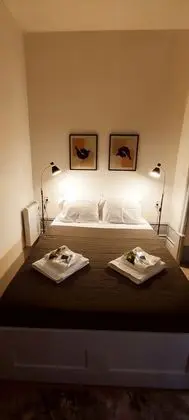 Exclusive Tek Büyük Yataklı Oda, 1 Çift Kişilik Yatak, Banyolu/Duşlu, Bahçe Manzaralı