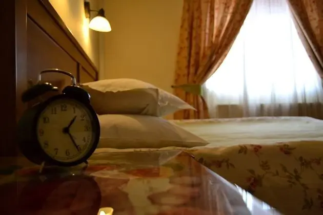 Superior Tek Büyük Yataklı Oda