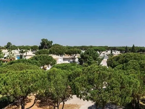 Süit (Pine View)