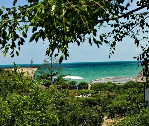 Bungalov