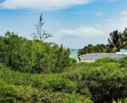 Bungalov