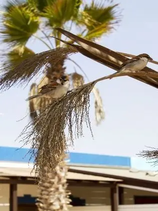 Panoramic Tek Büyük Yataklı Oda, Kısmi Deniz Manzarası, Okyanusa Sıfır