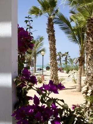 Panoramic Tek Büyük Yataklı Oda, Kısmi Deniz Manzarası, Okyanusa Sıfır