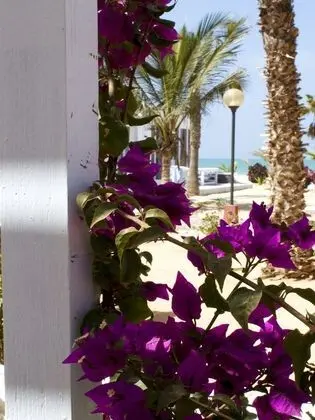 Panoramic Tek Büyük Yataklı Oda, Kısmi Deniz Manzarası, Okyanusa Sıfır