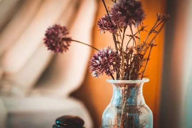 Deluxe Stüdyo Süit