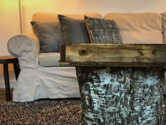 Comfort Ev, 3 Yatak Odası, Göl Manzaralı