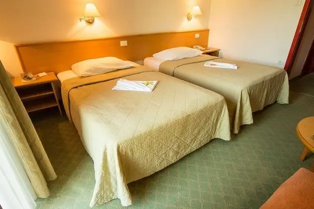 Standard Tek Büyük veya İki Ayrı Yataklı Oda, Balkon