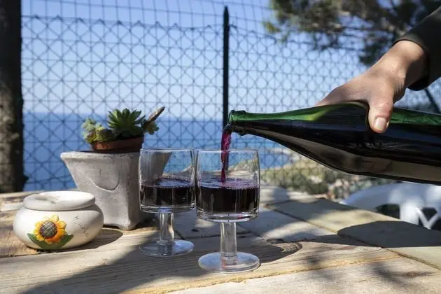 Villa, 2 Yatak Odası (Villa Aurelia)