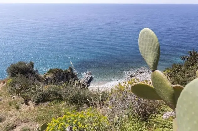 Villa, 2 Yatak Odası (Villa Aurelia)