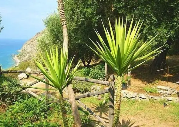 Panoramic Villa, 2 Yatak Odası, Deniz Manzaralı (Villa Gemma)