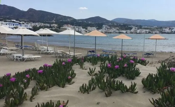 Classic Stüdyo, Bahçe Manzaralı