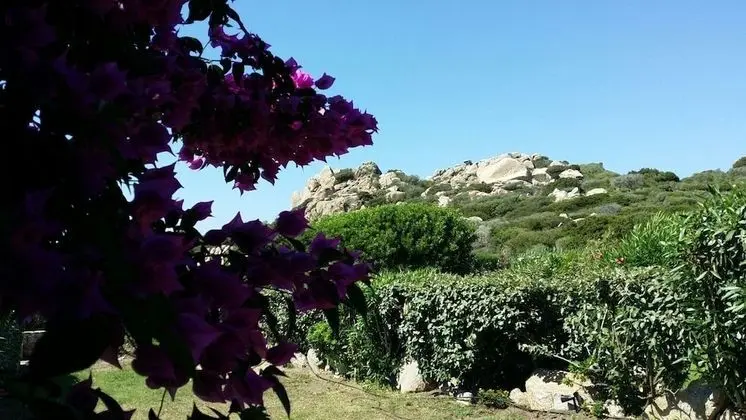 Villa, 1 Yatak Odası, Bahçe Manzaralı