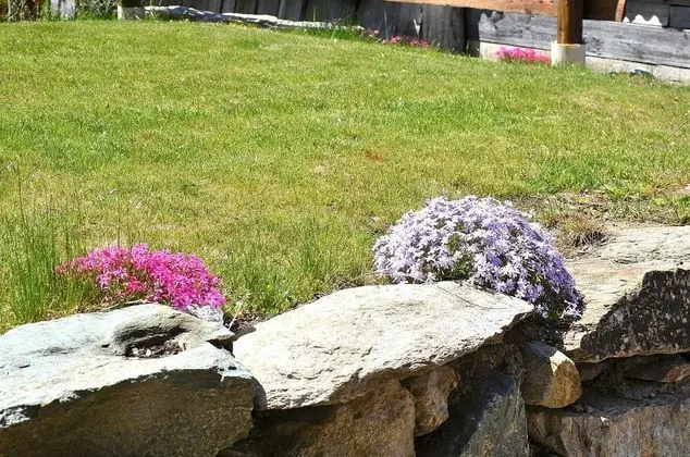 Ev, 1 Yatak Odası, Buzdolabı