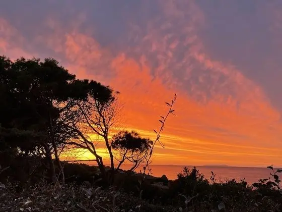 Ev, 3 Yatak Odası, Balkon