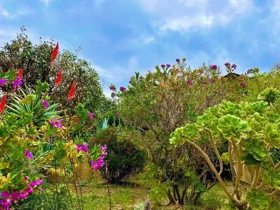 Ev, 3 Yatak Odası, Balkon