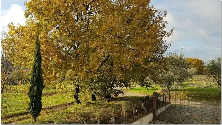 Villa, 2 Yatak Odası, Sigara İçilebilir, Şömine