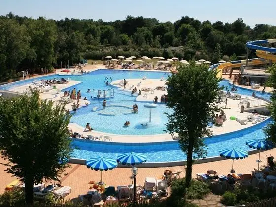 Ev