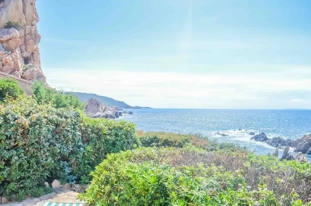 Villa, 1 Yatak Odası