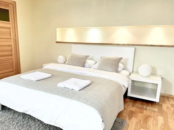 Exclusive 2 Bedrooms Apartment Ligonines St.9
