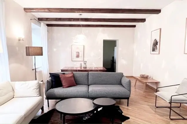 Exclusive 2 Bedrooms Apartment Ligonines St.9